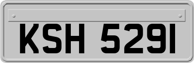 KSH5291