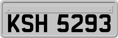 KSH5293