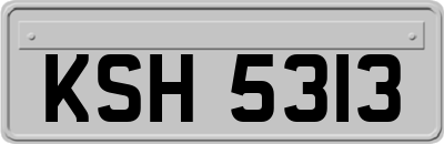 KSH5313