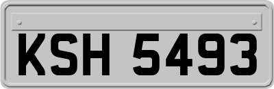 KSH5493