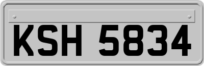 KSH5834