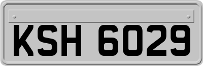 KSH6029