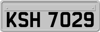 KSH7029