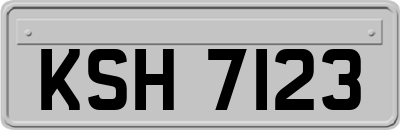 KSH7123