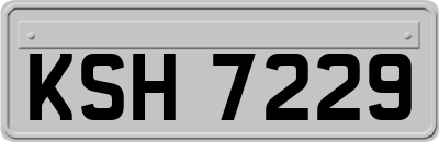 KSH7229