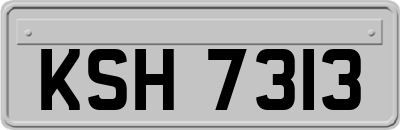 KSH7313