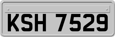 KSH7529