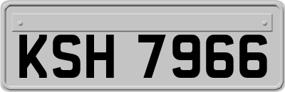 KSH7966