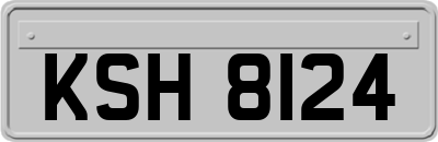 KSH8124