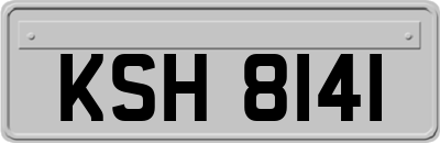 KSH8141