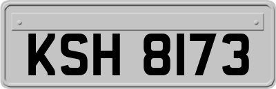 KSH8173