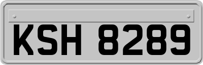 KSH8289