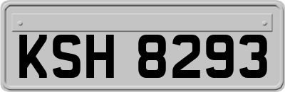 KSH8293