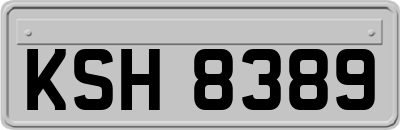 KSH8389