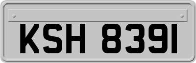 KSH8391