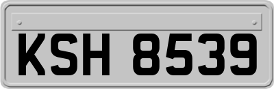KSH8539