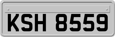 KSH8559