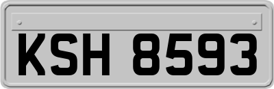 KSH8593