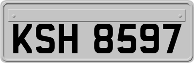 KSH8597