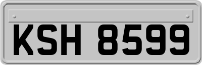 KSH8599