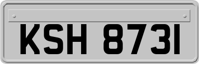 KSH8731