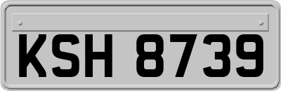 KSH8739