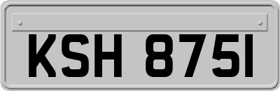 KSH8751