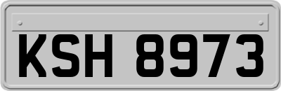 KSH8973