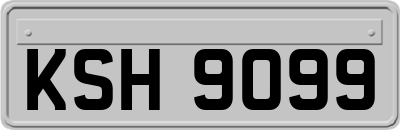KSH9099