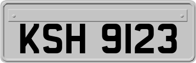 KSH9123