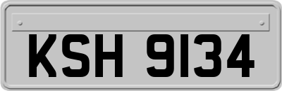 KSH9134