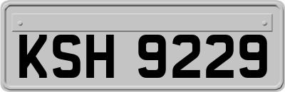 KSH9229