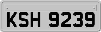 KSH9239