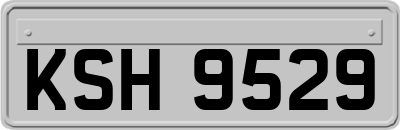 KSH9529