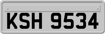 KSH9534