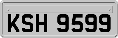 KSH9599