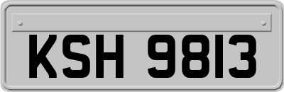 KSH9813