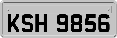 KSH9856