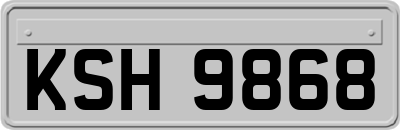 KSH9868
