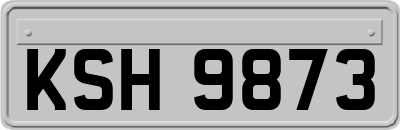 KSH9873