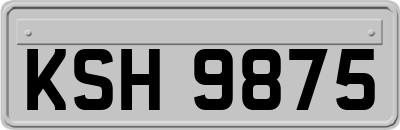 KSH9875