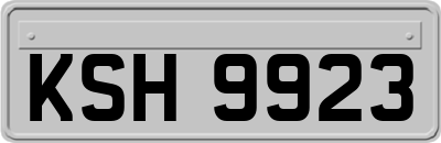 KSH9923