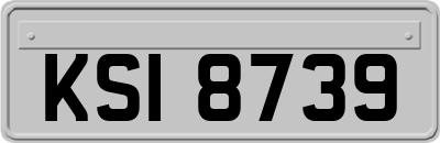KSI8739