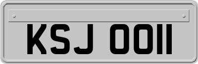 KSJ0011