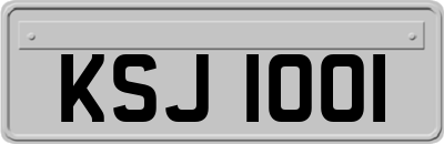 KSJ1001