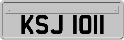 KSJ1011