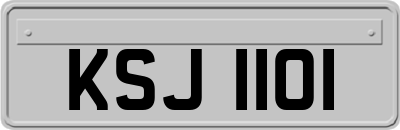 KSJ1101