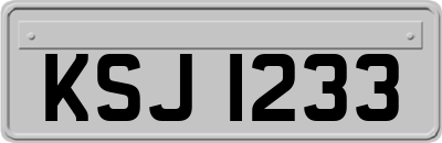 KSJ1233