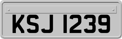 KSJ1239