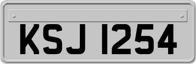KSJ1254